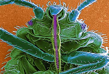 《GT赛车7》PSVR2版细节公布 支持网络对战功能